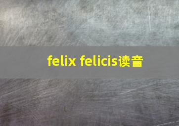 felix felicis读音